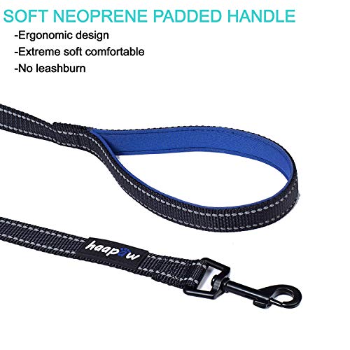 haapaw Two Dog Leash Coupler - 2 Dog Leash Tangle Free, Stretchable from 20 to 35 Inch – Comfortable Handle Dual Dog Leash for 2 Dogs with a Free Collapsible Dog Bowl (Black/Blue, 0-30lbs Dogs)
