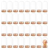 BENECREAT 32Pack 15ml Glass Jars Decorative Bottles