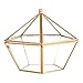 HOMEIDEAS Glod Geometric Terrarium Modern Clear Glass Pyramid Tabletop Box Succulent Plants Holder 4.3 x 4.3 x 8.3 Inches(Black) (Golden)