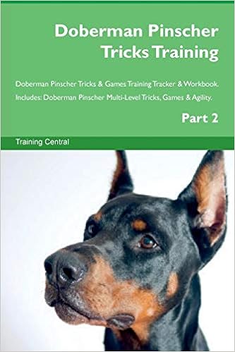 doberman agility training
