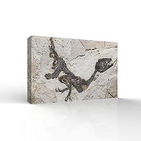 Canvas Wall Art - Vintage Animal Fossil Living Room Poster - Modern Home Art Stretched and Framed Ready to Hang - 12x18 inches