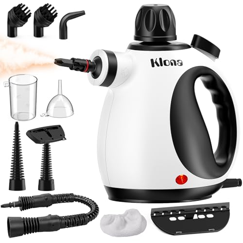 Dampfreiniger Handgerät, Dampfdruck: 3.2 bar, 1050W, mit 10 Zubehör