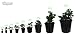 Viagrow VHPP700-10 7 gal Trade (6.08 gal / 23.02 liters) 10 Pack Nursery POTS, Black