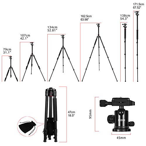 4 ESDDI+Aluminum+Monopod+Professional+Panasonic