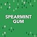Orbit Spearmint Sugarfree Gum, 55 Count (Pack of 4)