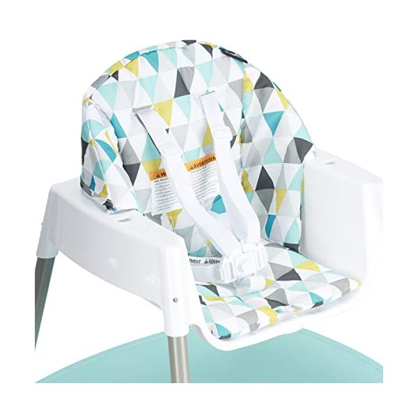 evenflo 4 in 1 eat and grow