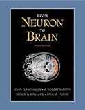 From Neuron to Brain: A Cellular and Molecular Approach to the Function of the Nervous System, Fourth Edition