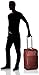 Dakine Carry On Roller 40L