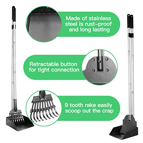 EXPAWLORER Pet Poop Tray, Rake and Spade Set 3 Pack Pooper Scooper