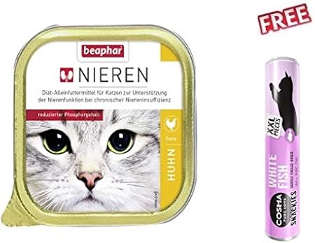 salmon oil for cats with kidney disease