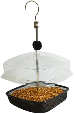Natures Market Deluxe Mealworm Feeder Amazon Co Uk Garden Outdoors