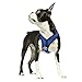 Gooby Choke Free Comfort X Soft Harness, Blue, Small