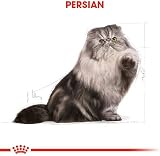 ROYAL CANIN Persian Dry Cat Food 10 kg view 6