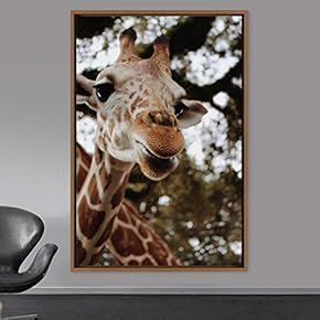 signwin Framed Canvas Wall Art Giraffe Animals Expressive...