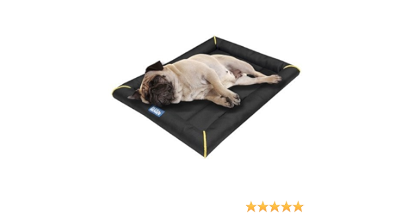 blue beagle crate mat