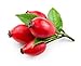 Zatural ROSA CANINA - Organic Rosehip Oil for Face, Nails, Hair and Skin - Cold Pressed Rose Hip Oil (16 oz)