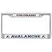 NHL Chrome License Plate Frame
