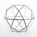 NCYP 8 inches Glass Geometric Dome Terrarium, Triangular Pentagon 32-Sides Indoor Succulent Air Plants Terrarium, Balcony Miniature Decor Centerpiece, No Plants Included
