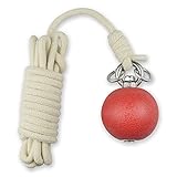 PHYSKOW Rubber Meteor Hammer for Beginners Exercise