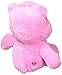 Care Bears (w/o DVD Hopeful Heart Plush, Medium