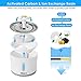 pedy Cat Water Fountain Stainless Steel, Automatic Pet Fountain with LED Light Switch & Water Level Window, Dog Water Dispenser with 2 Replacement Filter and Flower Silicone Mat, 81oz/2.4L