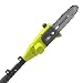 Sun Joe 20VIONLTE-PS8 8-inch Amp 20-Volt Cordless Telescoping Pole Chain Saw, Kit (w/2.0-Ah Battery + Quick Charger)