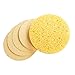 Prosana Round Compressed Sponge in White 24ct