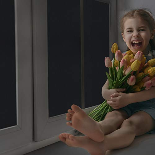 5 Viseeko+Blackout+Blocking+Removable+Darkening