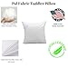 Pal Fabric Pack of 4 20x20 Soft Cotton Feel Microfiber Square Pillow Insert for Sham or Decorative pillow Made in USA (20x20)
