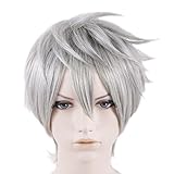 Xcoser Fmaous Film The Guardians Jack Frost Cosplay Short Silver Gray Wig