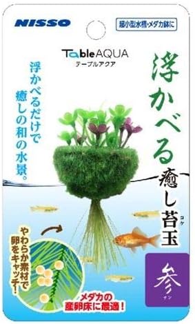 Amazon ニッソー テーブルアクア 浮かべる癒し苔玉 参 ニッソー 人工水草 通販