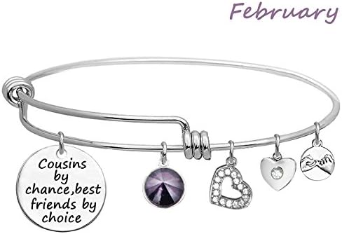 LINKY Birthstone Crystals Bracelet,Cousin Gift, Cousin Jewelry Bracelet,Cousins by Chance,Best Friends by Choice Bangle (B February)