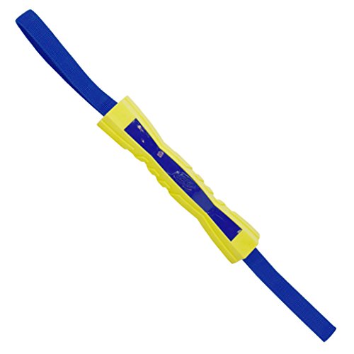 nerf dog competition stick