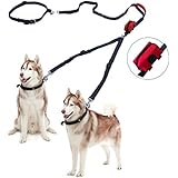 Free Paws Double Dog Leash, Hands Free Dog Walking Leashes for 2 dogs with Waist Leash Dual Bungees Padded Handles Waste Bag, 150Lbs Fit Medium to Large Dogs