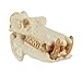Safari Ltd Mammal Skulls TOOB with the Skulls of a Dolphin, Lion, Rhinoceros, Elephant, Giraffe, Zebra, Gorilla, and Hippopotamus.