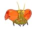 Insect Lore The World of Eric Carle Bug Goggles
