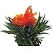 Grosche Jasmine Blooming Tea Flowering Tea Variety Gift Set - Includes 12 blooming teas