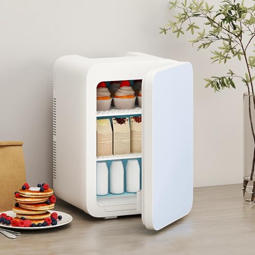 ARTETHYS Mini Fridge for Bedrooms 20L Small Car Fridge Mini Refrigerator with System Cooler and Warmer for Home Office, 220V AC/12V DC, White