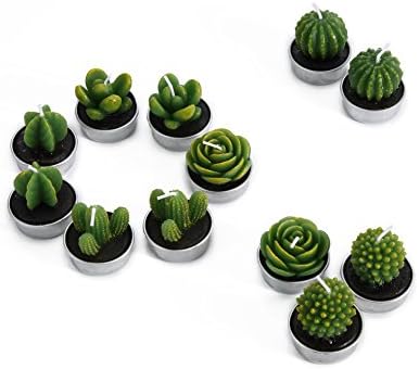 Decorative Scented Smokeless Cactus Tealight Candles, Cute Mini Succulent Plants Candles (Perfect for Home Decor/ Birthday Gift/ Christmas Festival/ Wedding Props/ House-Warming Party), Green, 12 pcs