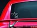 LSD Chemical Structure - Car Decal 10