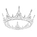 Lpteso SSNUOY Silver Plated Pearl Crystal Bridal Crown Princess Crown Headpiece for Woman