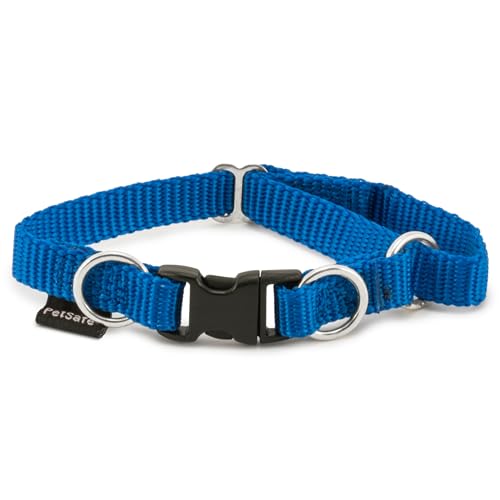 PetSafe KeepSafe Break-Away Collar, Prevent Collar Accidents for Your Dog or Puppy, Improve Safety, Compatible with Lead Use, Adjustable Sizes