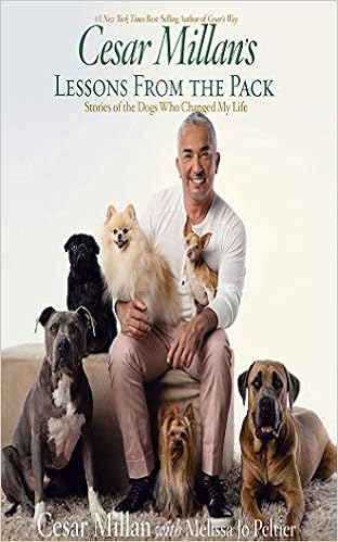 cesar millan amazon