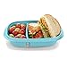 Rubbermaid TakeAlongs Sandwich Food Storage Containers, 3.7 Cup, Colors may vary