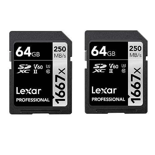 Lexar Professional 1667x SD Karte 64GB 2er-Pack, Speicherkarte SDXC UHS-II, Bis zu 250 MB/s Lesen, Class 10, U3, V60, SD für Professionelle Fotografen, Videofilmer, Enthusiasten (LSD1667064G-B2NAA)