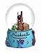 Nashville in Color 65mm Snow Globe