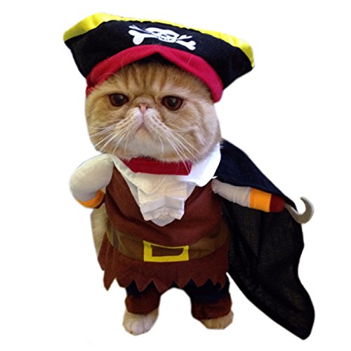Alfie Pet Apparel by Petoga Couture - Jack the Pirate for Party Halloween Special Events Costume