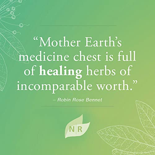 Nature’s Rite Nasal Spray Decongestant, Congestion Relief, 1.5 oz. (45