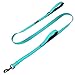 Max and Neo Double Handle Traffic Dog Leash - Reflective, Donates to Dog Rescue (Teal, 6 FT)