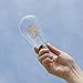 ASOKO LED Dimmable Vintage Edison Led Bulbs 6W Antique Style Edison Light Bulbs, 2700K Warm White, Squarrel Cage Filament Vintage Light Bulb,ST64, E26 Base